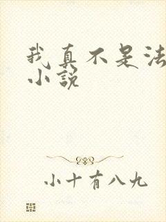 我真不是法爷 小说