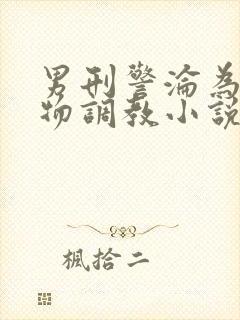 男刑警沦为性玩物调教小说