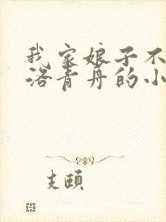 我家娘子不对劲洛青舟的小说