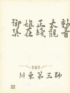 御姐正太动漫全集在线观看免费