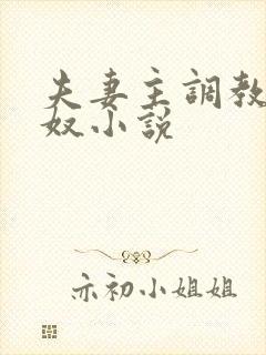 夫妻主调教夫妻奴小说