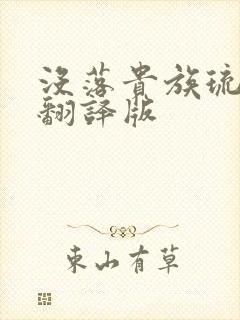 没落贵族琉璃川翻译版