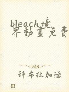 bleach境界动画免费观看全集