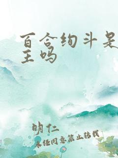 百合绚斗是双男主吗