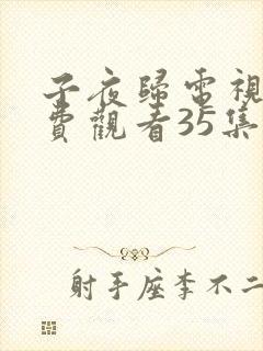 子夜归电视剧免费观看35集在线播放