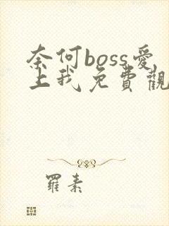 奈何boss爱上我免费观看电视剧全集