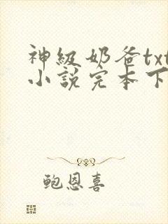 神级奶爸txt小说完本下载