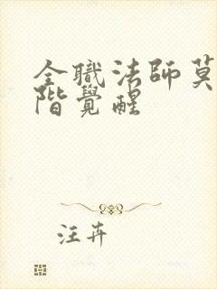 全职法师莫凡中阶觉醒