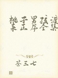 桃子男孩渡海而来正序全集免费观看