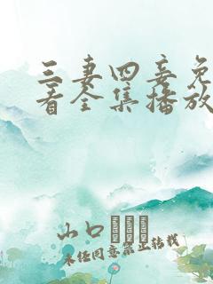 三妻四妾免费观看全集播放下载