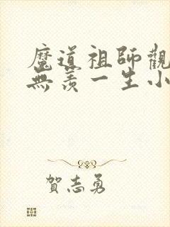 魔道祖师观影魏无羡一生小说