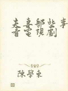 夫妻那些事免费看电视剧