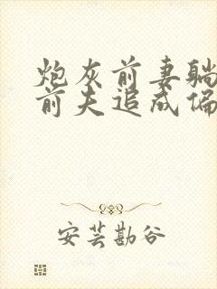 炮灰前妻躺平后前夫追成偏执狂小说