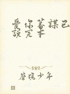 爱你蓄谋已久小说完本