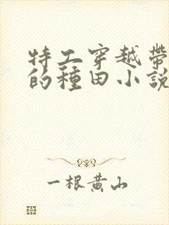 特工穿越带空间的种田小说