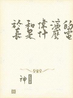 于和伟演的董事长是什么电视剧