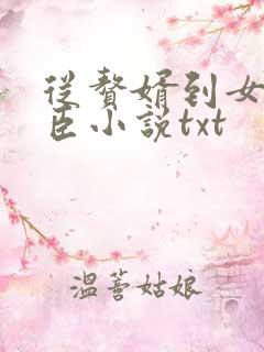 从赘婿到女帝宠臣小说txt