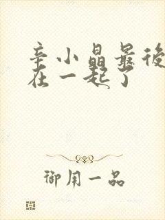 辛小晶最后和谁在一起了