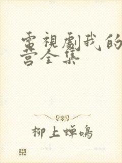 电视剧我的特一营全集