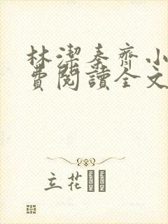 林洁秦齐小说免费阅读全文最新章节