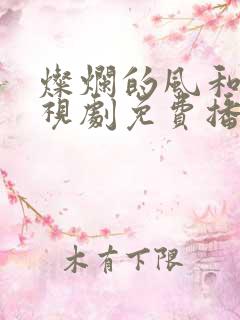 灿烂的风和海电视剧免费播放