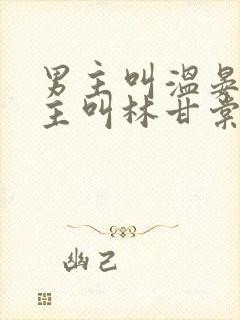 男主叫温晏清女主叫林甘棠的小说