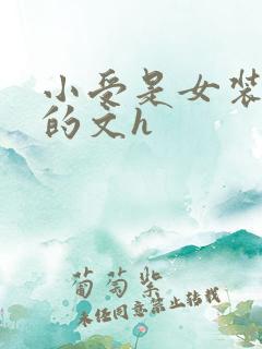 小受是女装大佬的文h