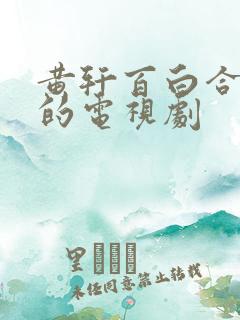 黄轩百白合主演的电视剧