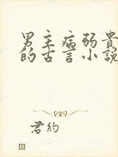 男主病弱贵公子的古言小说