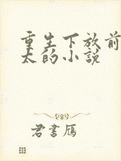 重生下放前老太太的小说