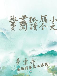 与君孤雁小说免费阅读全文最新章节