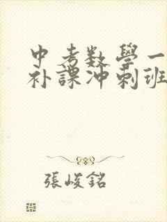 中考数学一对一补课冲刺班