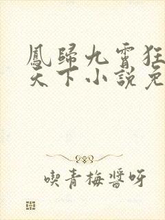 凤归九霄狂妃逆天下小说免费阅读