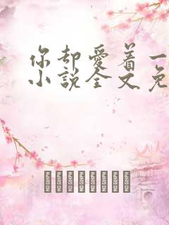 你却爱着一个他小说全文免费阅读