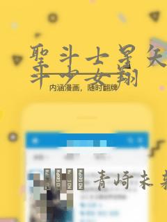 圣斗士星矢 圣斗少女翔