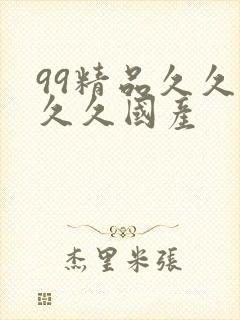 99精品久久久久久国产