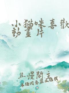 小猫咪喜欢看的动画片