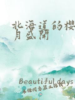 北海道的樱花几月盛开