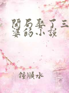 开局娶了三个老婆的小说