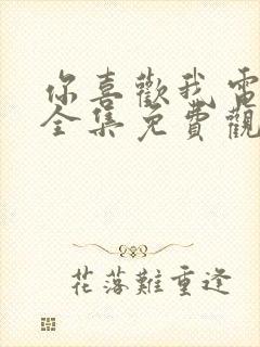 你喜欢我电视剧全集免费观看高清