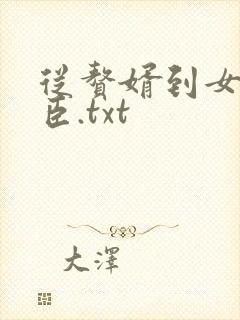 从赘婿到女帝宠臣.txt