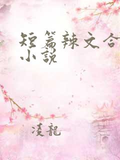 短篇辣文合集的小说