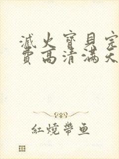 灭火宝贝完整免费高清满天星美国