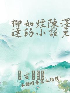 柳如烟陈泽季博达的小说免费阅读