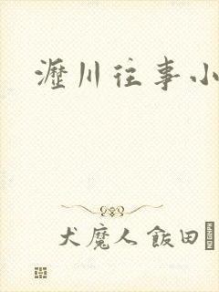沥川往事小说版
