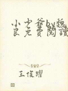 小少爷by魏丛良免费阅读全文