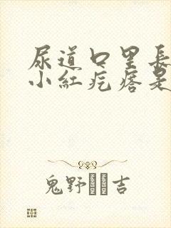 尿道口里长起点小红疙瘩是这么回事