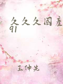 久久久国产精品91