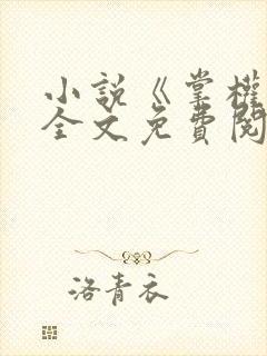 小说《掌权人》全文免费阅读