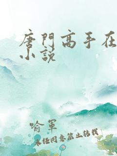 唐门高手在异世小说